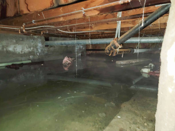 Best Professional water damage repair  in Lake Don Pedro, CA