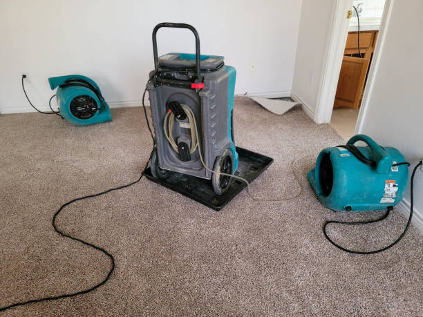 Best Fire Damage Restoration  in Lake Don Pedro, CA