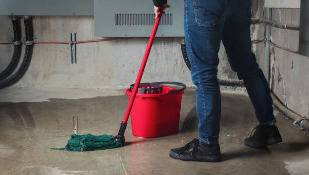 Best Professional water damage repair  in Lake Don Pedro, CA