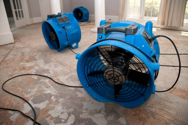 Best Carpet water damage restoration  in Lake Don Pedro, CA