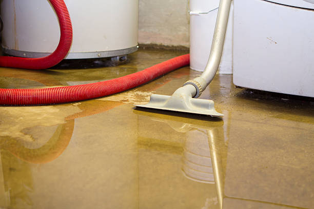 Best Water damage cleanup near me  in Lake Don Pedro, CA