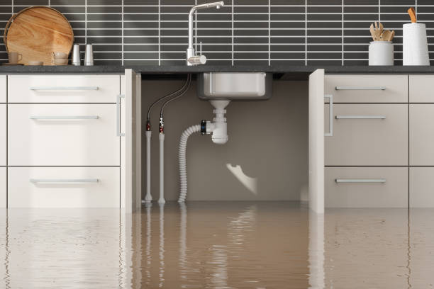 Best Basement water damage restoration  in Lake Don Pedro, CA